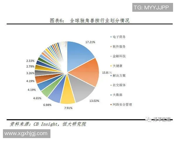 杭州网球队运营体系与战术策略的深度解析与实践探索